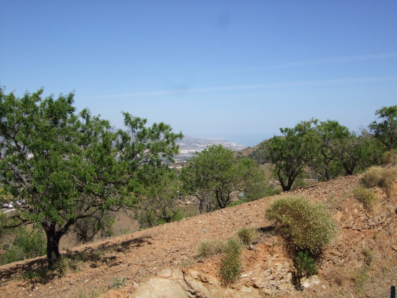 Anadalusien 2009 - 0582 